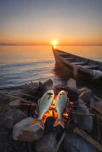 The Charcoal Fire: Two Fires, Two Failures, One Restoration