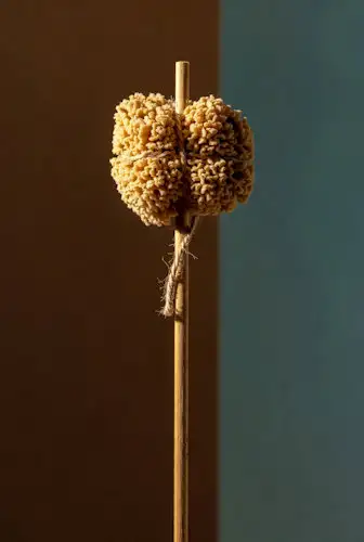 The Tersorium in the Context of Jesus' Crucifixion: A Historical and Theological Exploration